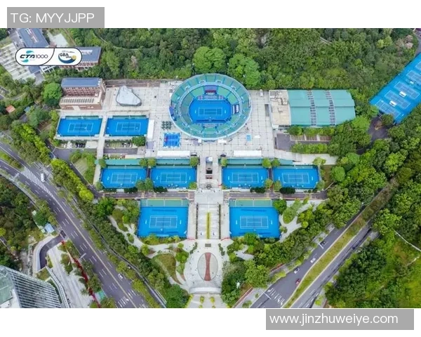 广州网球队团队协作的创新转型与热议探讨